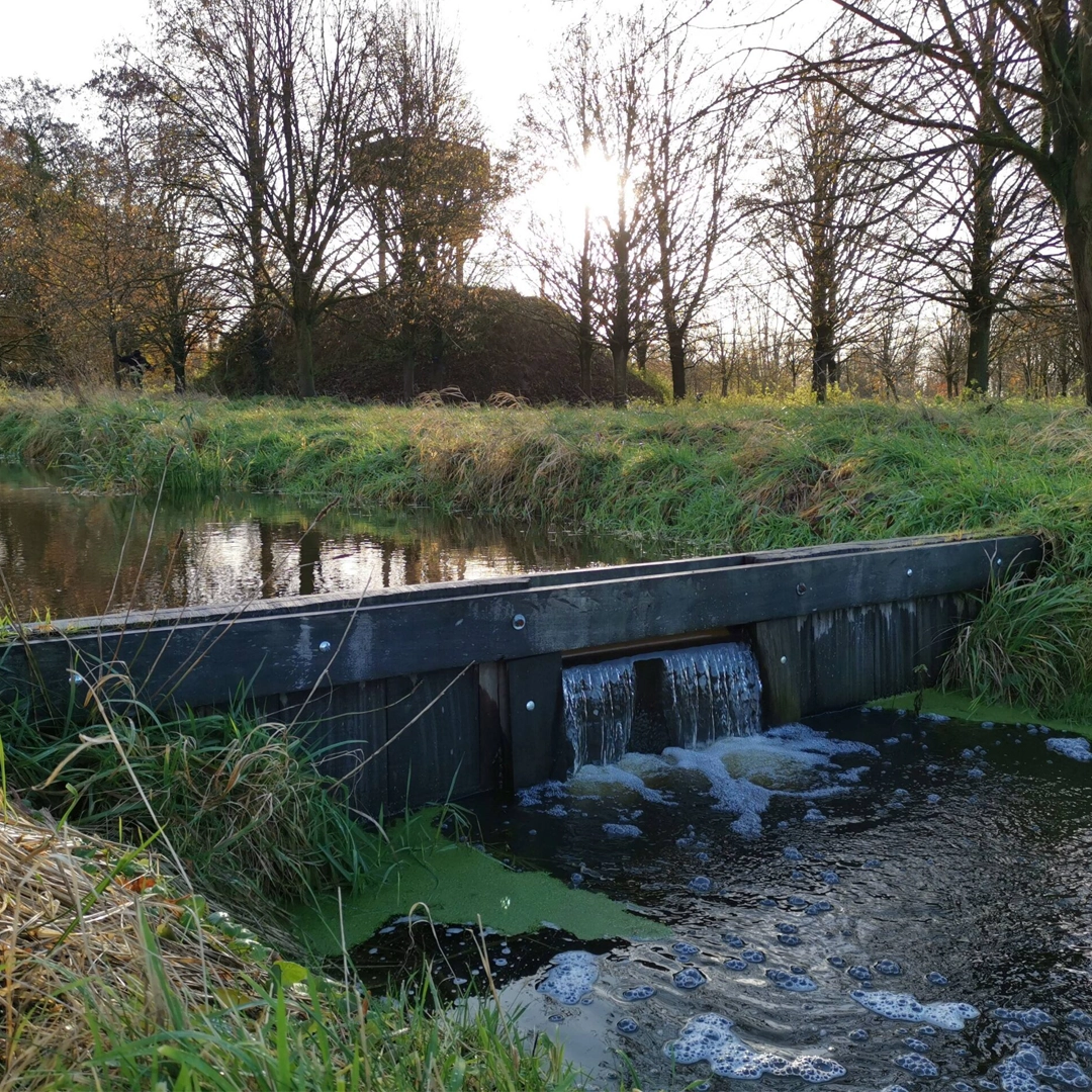 Beek-scaled-1080×1080