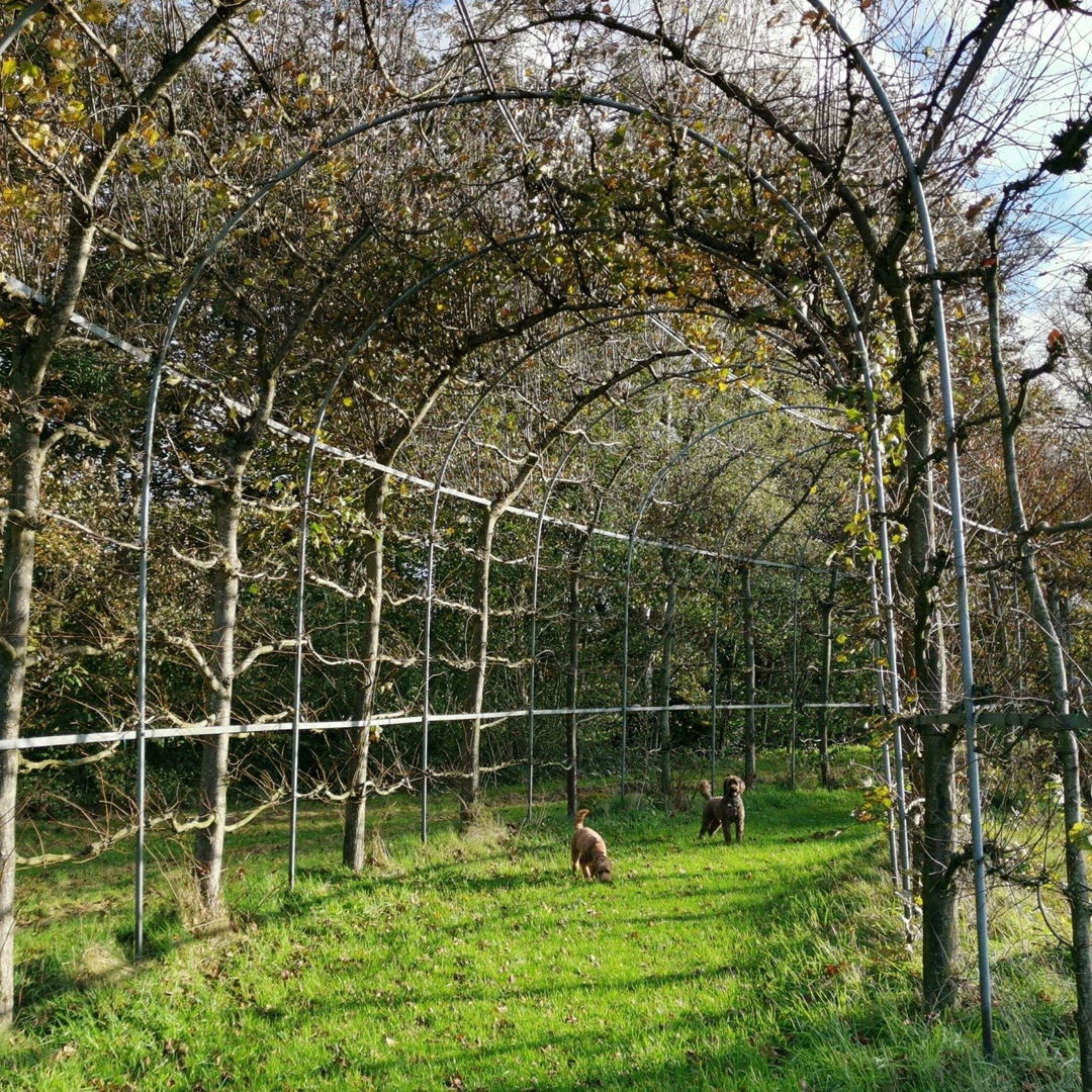 Berceau-scaled-1080×1080