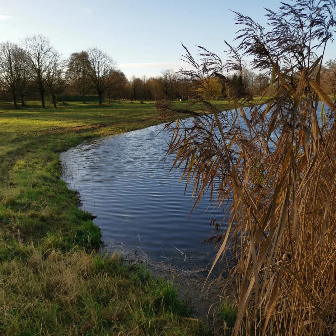 Waterbekken1-scaled-1080×1080