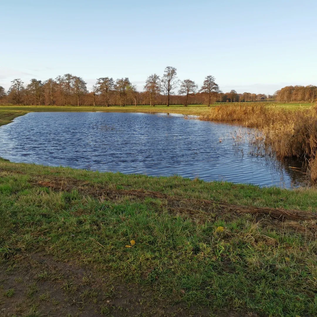 Waterbekken2-scaled-1080×1080